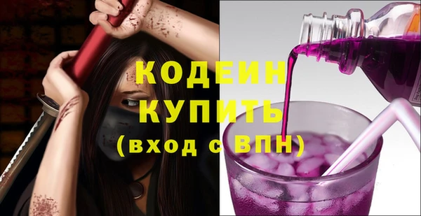 индика Рославль